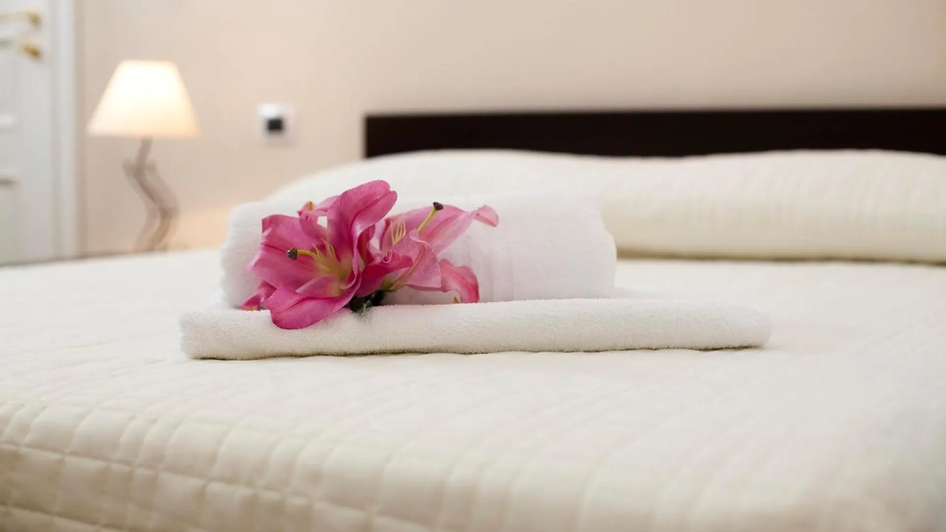 ***  Antiche Volte Bed and Breakfast Κατάνια Ιταλία
