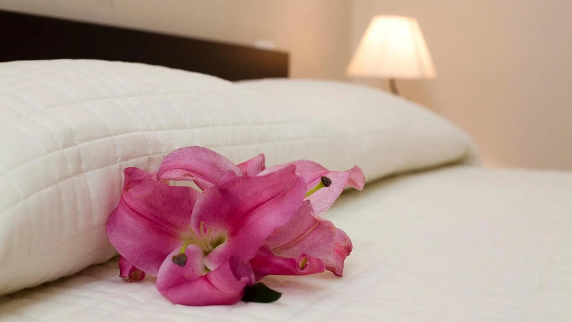 Antiche Volte Bed and Breakfast Κατάνια